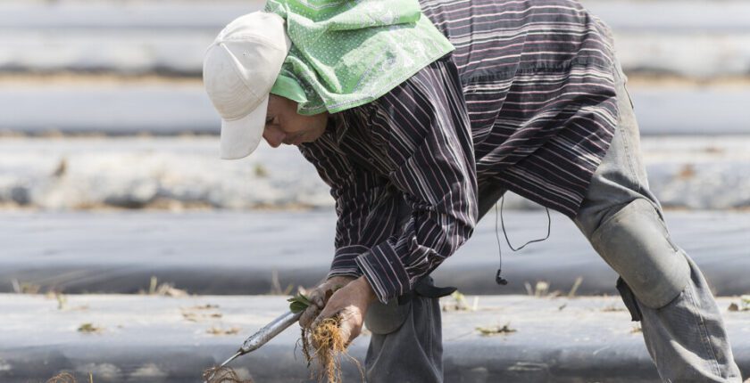 Canada’s foreign worker programs aren’t just bad policy—they’re morally shameful
