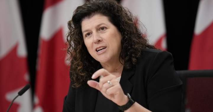 Canada’s international student program to face auditor general probe - National
