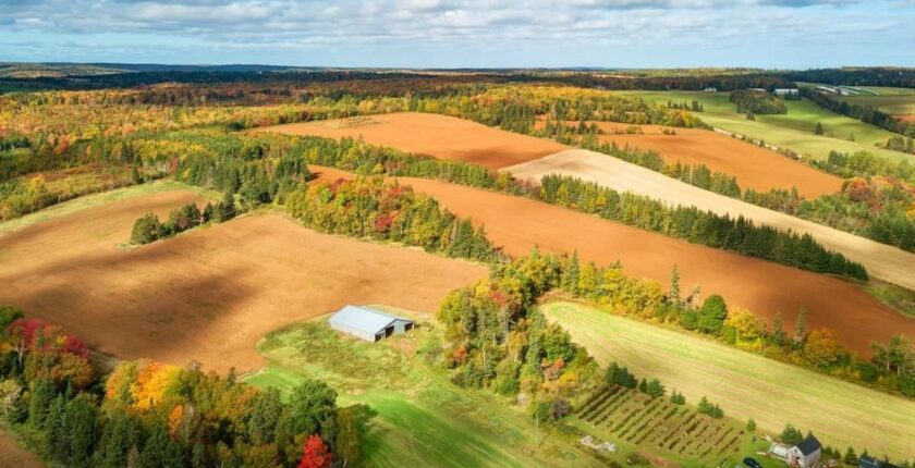 Prince Edward Island extends invitations to provincial immigration candidates