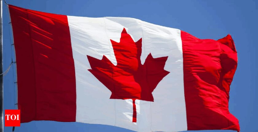 Canada narrows the gate: Student visa approvals fall to 43%, work permits to 69%